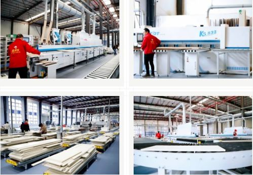 雪寶集團 大國工匠，家居典范